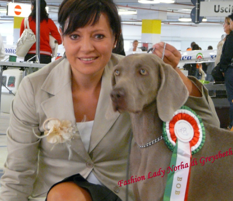 Publication : di Greysbeth Auteur : GREYSBETH