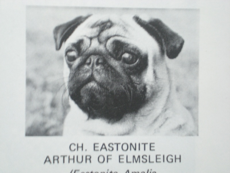CH. eastonite Arthur of elmsleigh
