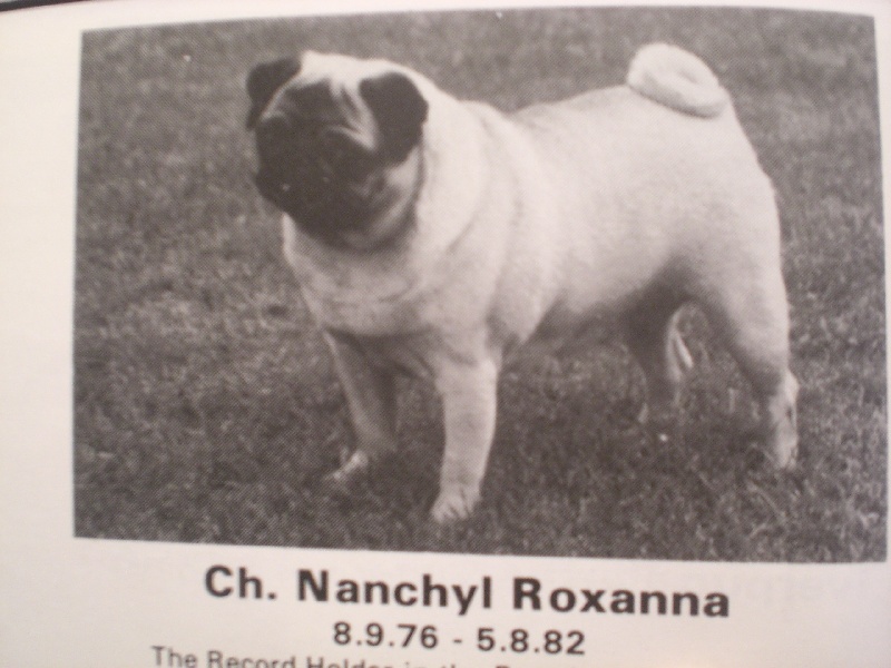 CH. Nanchyl Roxanna