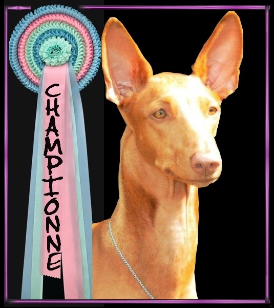 Publication : Ozymankia's Auteur : Photo GAD