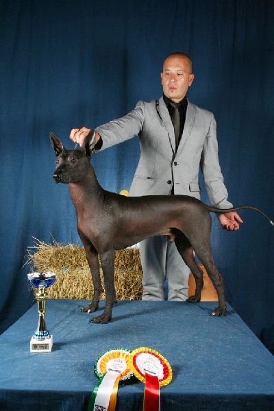 CH. Ce tzitzilin lopez