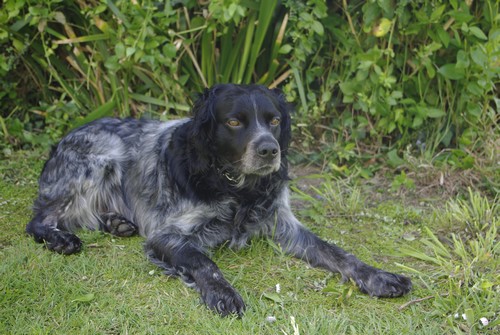 Publication : des bois de Keremma