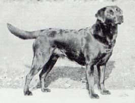 CH. Silsdale old chelsea Follytower