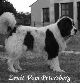 Zenith Vom petersberg