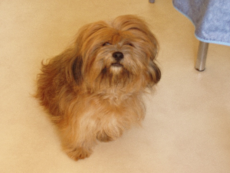 Publication : Satin's Auteur : Mathieu Barbera