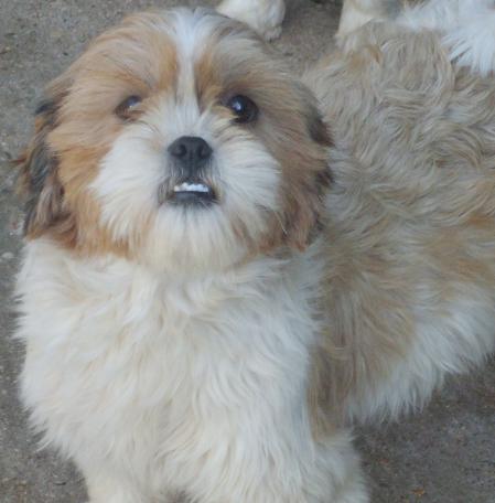 Publication : du domaine Grégoire 