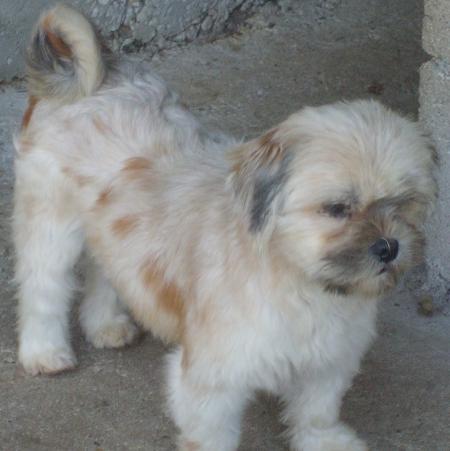 Publication : du domaine Grégoire 