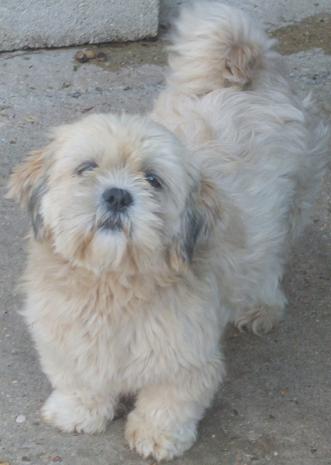 Publication : du domaine Grégoire 