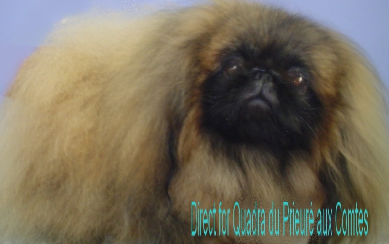 Publication : Quadra