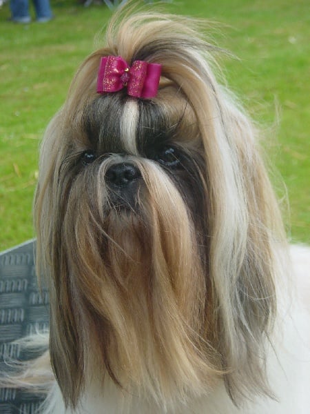 Angie flach Du domaine du rochereau