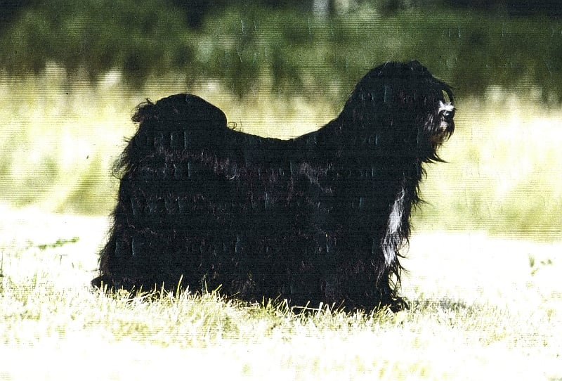 Publication : de la coffignole 