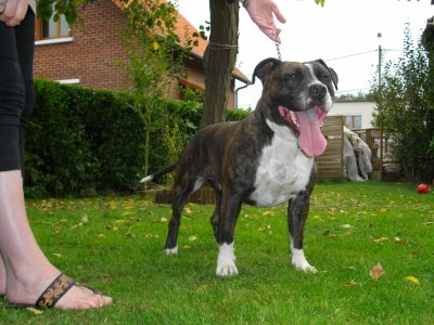 Cheytane (Sans Affixe)