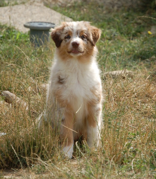 Publication : de la vallée d'Eole Auteur : Born in Rosebud