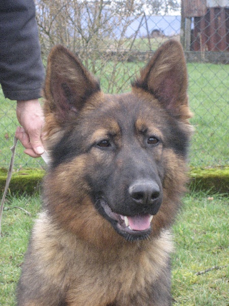 Publication : Du fils de la montagne