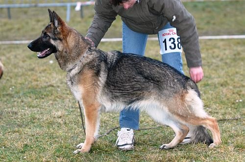 Uda du Domaine du Val D'Aulnoy