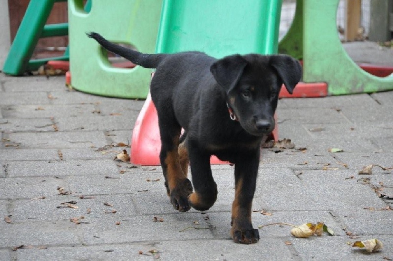 Publication : Living next door Auteur : P.de Koster