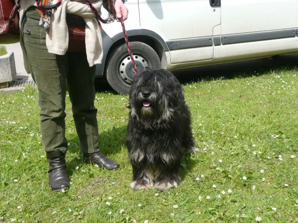 Publication : Des Plaines De Mazurie Auteur : Michèle Block