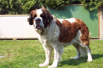 Marry von der alten see