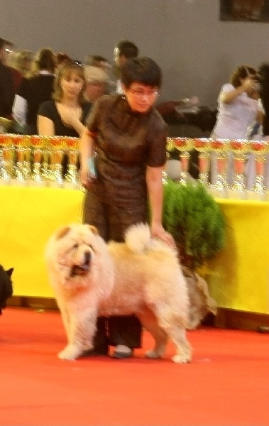 Publication : Chang Cheng 