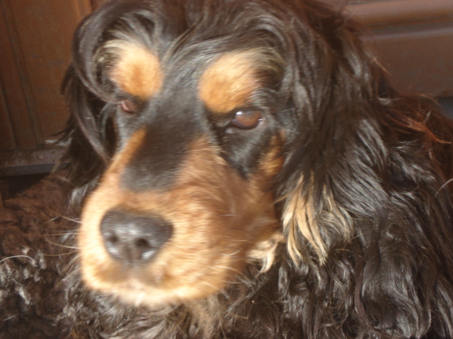 Publication : de la ferme de Chambaran Auteur : ludivine.oddoux