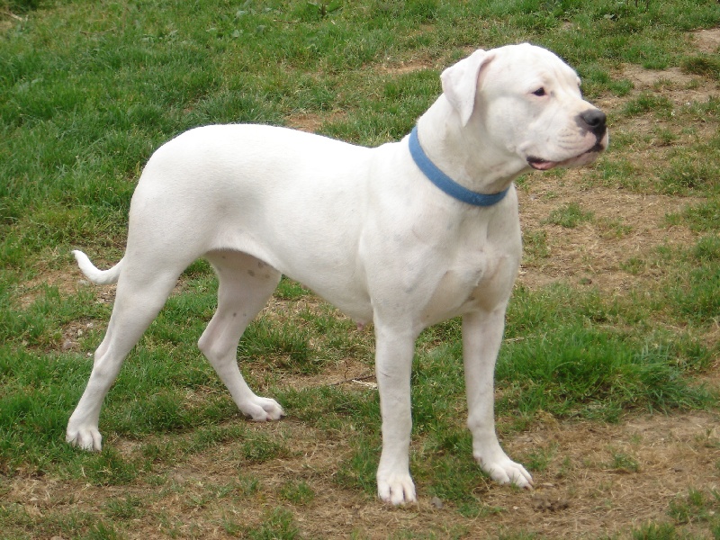 Publication : des seigneurs de la pampa 