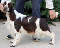 Publication : Last April