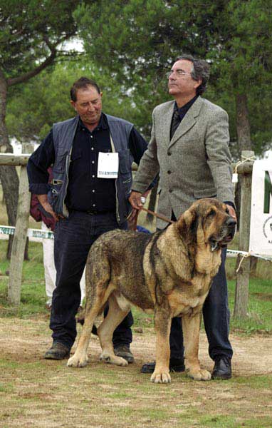 Sultan (Sans Affixe)