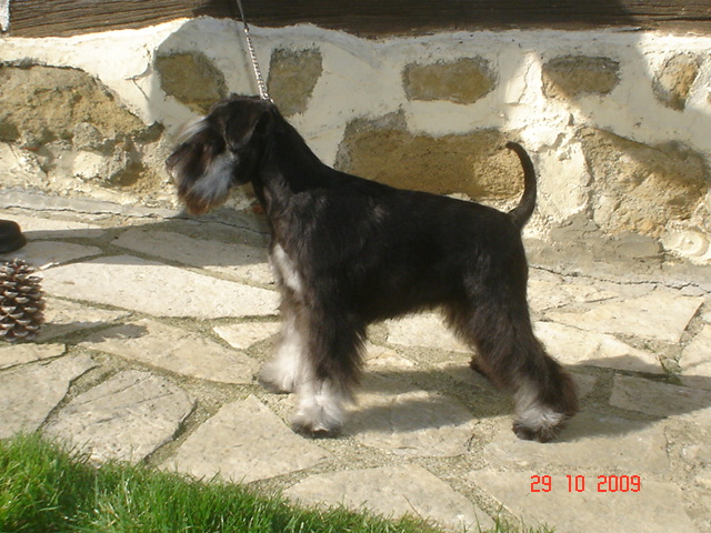 Publication : des forbans du Roc d'Hervieux 