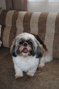 Publication : De La Beadrie Auteur : Jourquin L