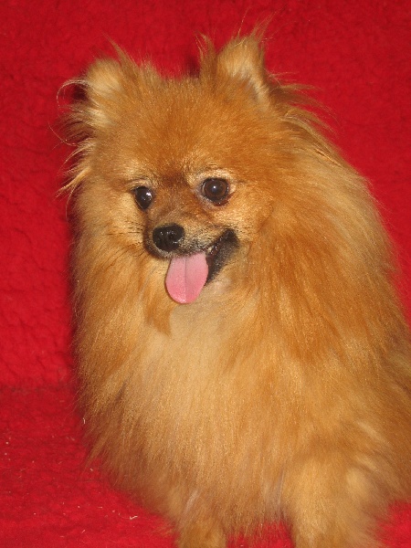 Publication : du domaine des quatre Pierres