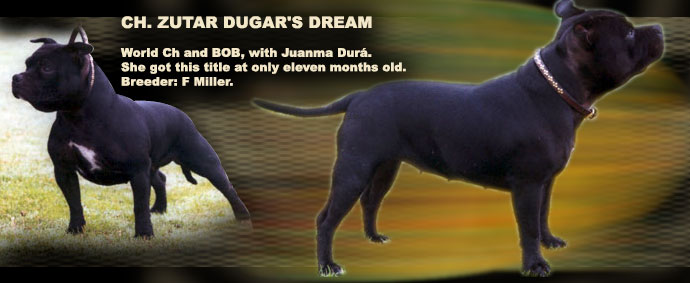 zutar Dugar's dream