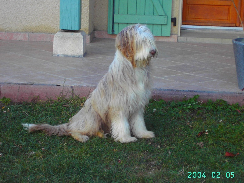 Dolène de l'Ouvernaht