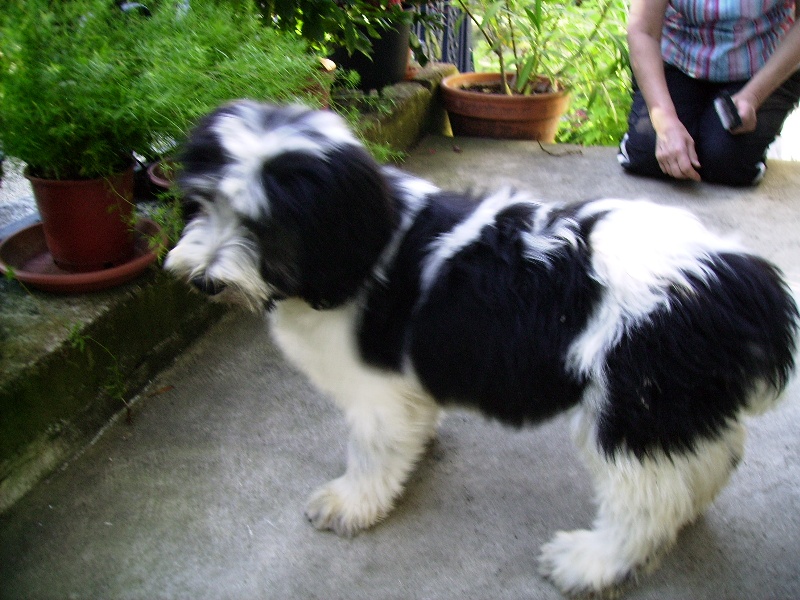 Publication : of Tubie's Valleys Auteur : Edouard KIEN