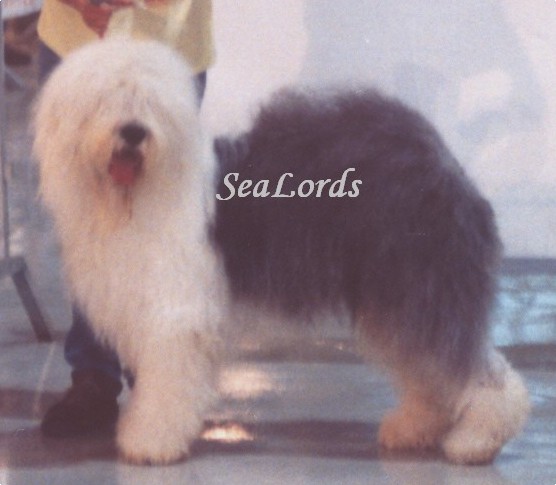 Nom d'un chien of Mary People