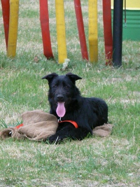 Publication : du Coeur des deux Mers Auteur : Coeur des deux mers