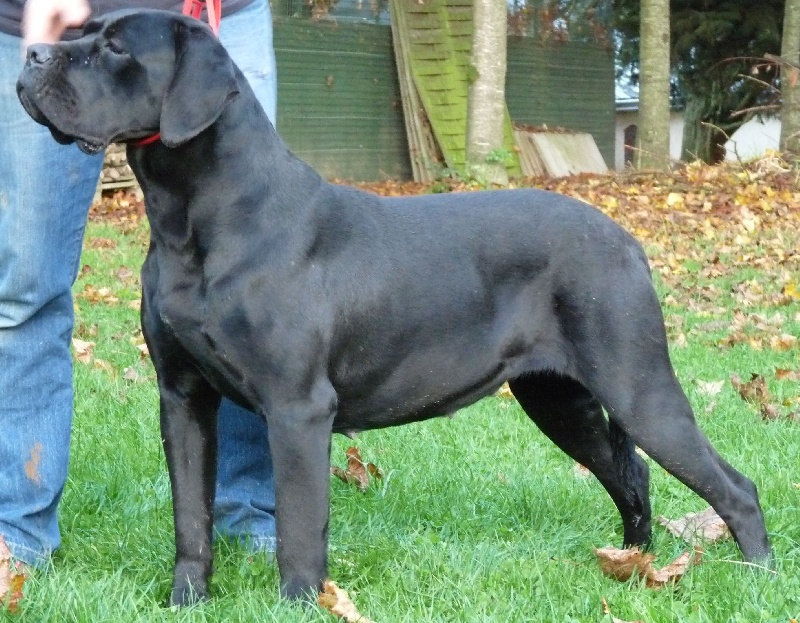 Diana ross Du Clos des Trois Rivières