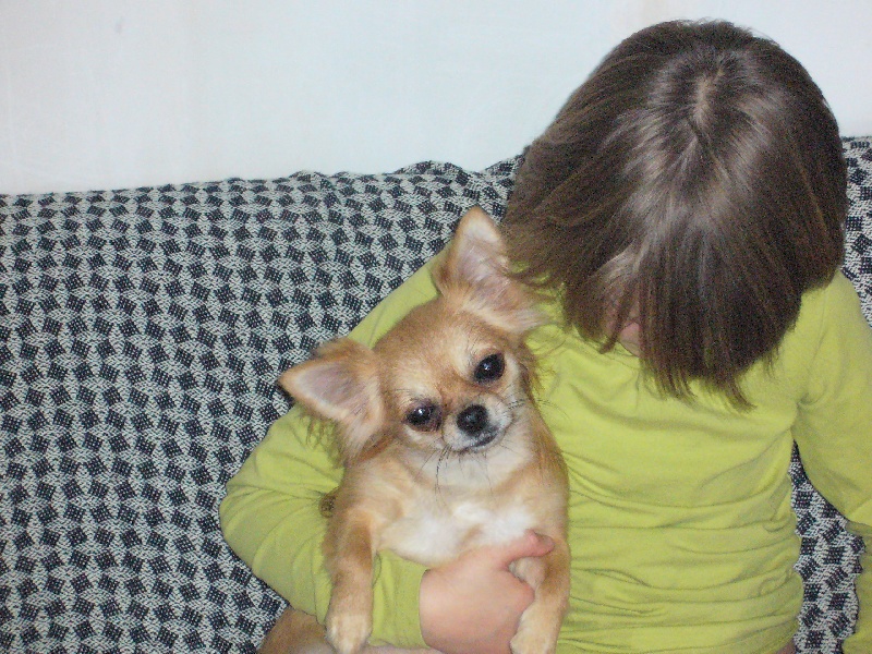 Publication : de la plaine du Vermandois Auteur : Mlle Elodie LOCOCHE