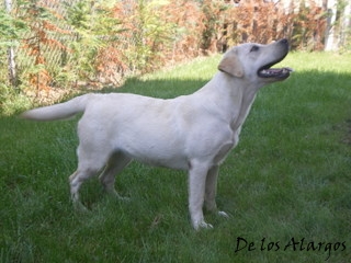 Publication : de los Alargos 