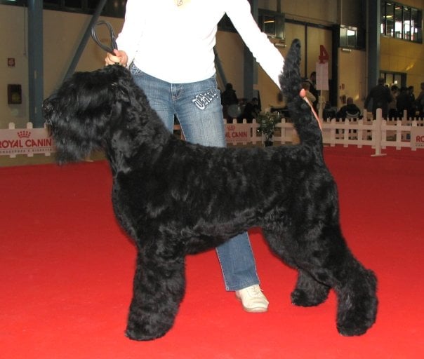 Publication : Setextra Auteur : Guetcha