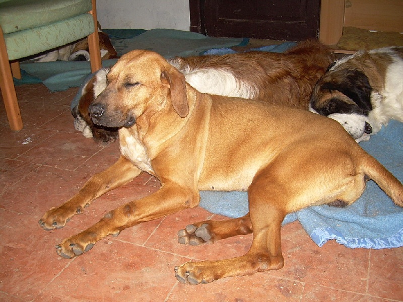 Publication : du Vallon de la Monnerie 