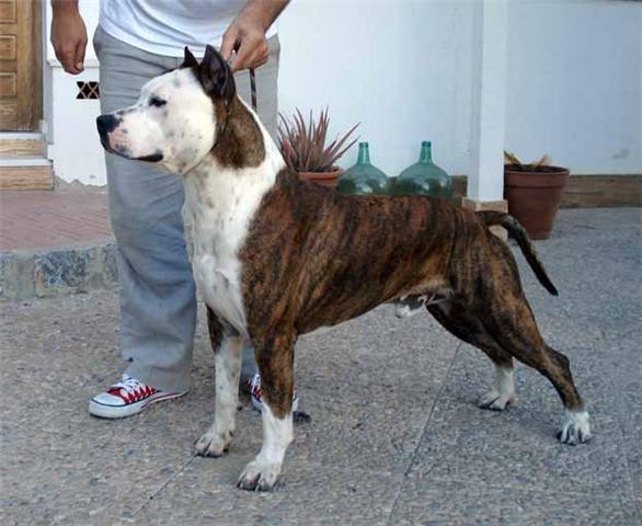 Publication : du Domaine du Staff 