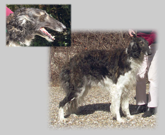 Russie-imperiale d4ymauville