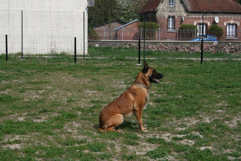 Publication : du domaine de Louxor