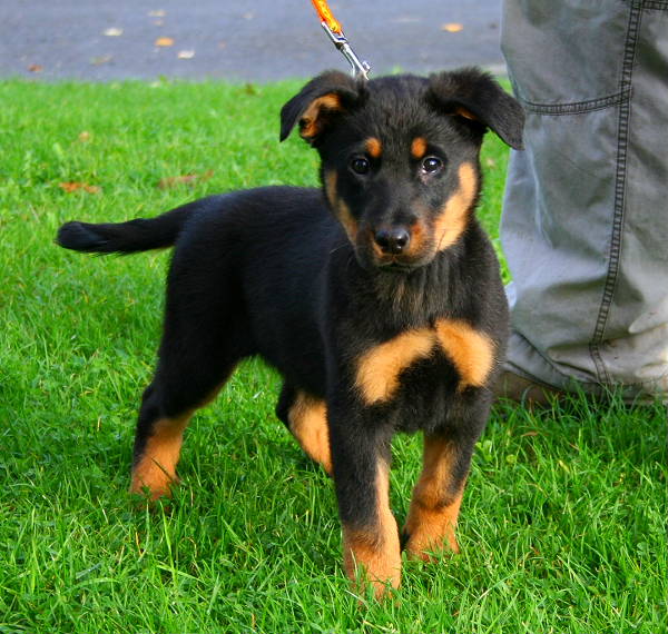 Publication : Mon Ami De Toujours 