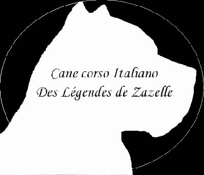 Publication : Des legendes de zazelle 