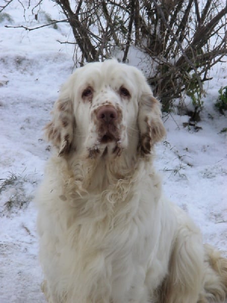 Publication : Népenthès Auteur : Karen FOROPON