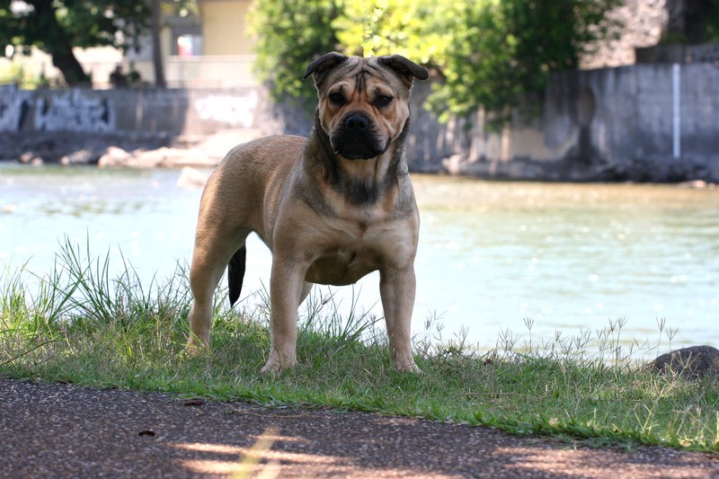 Publication : de l'étoile du sud 