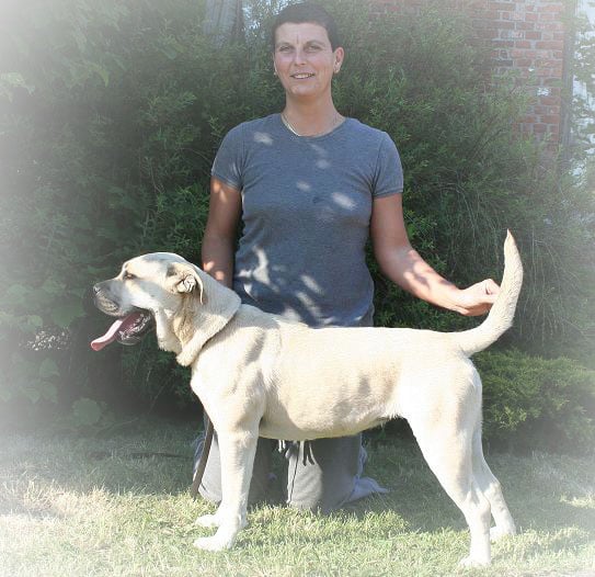 Publication : von zillion 