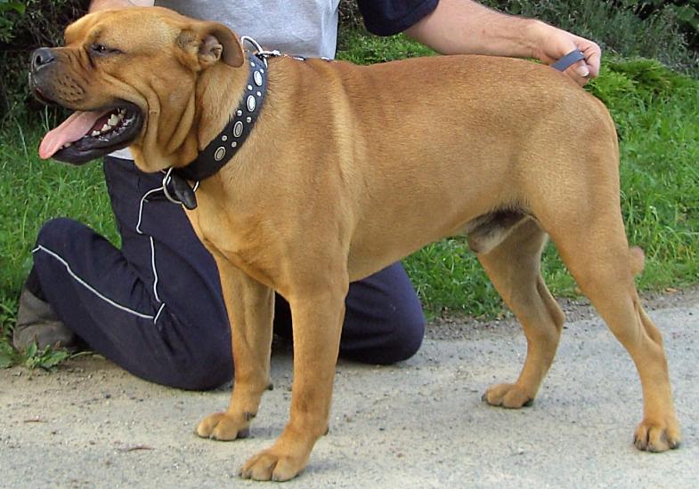 Publication : von zillion 