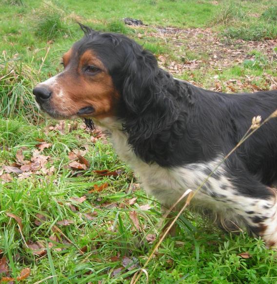 Publication : De tremouard Auteur : Sandrine FLAUX